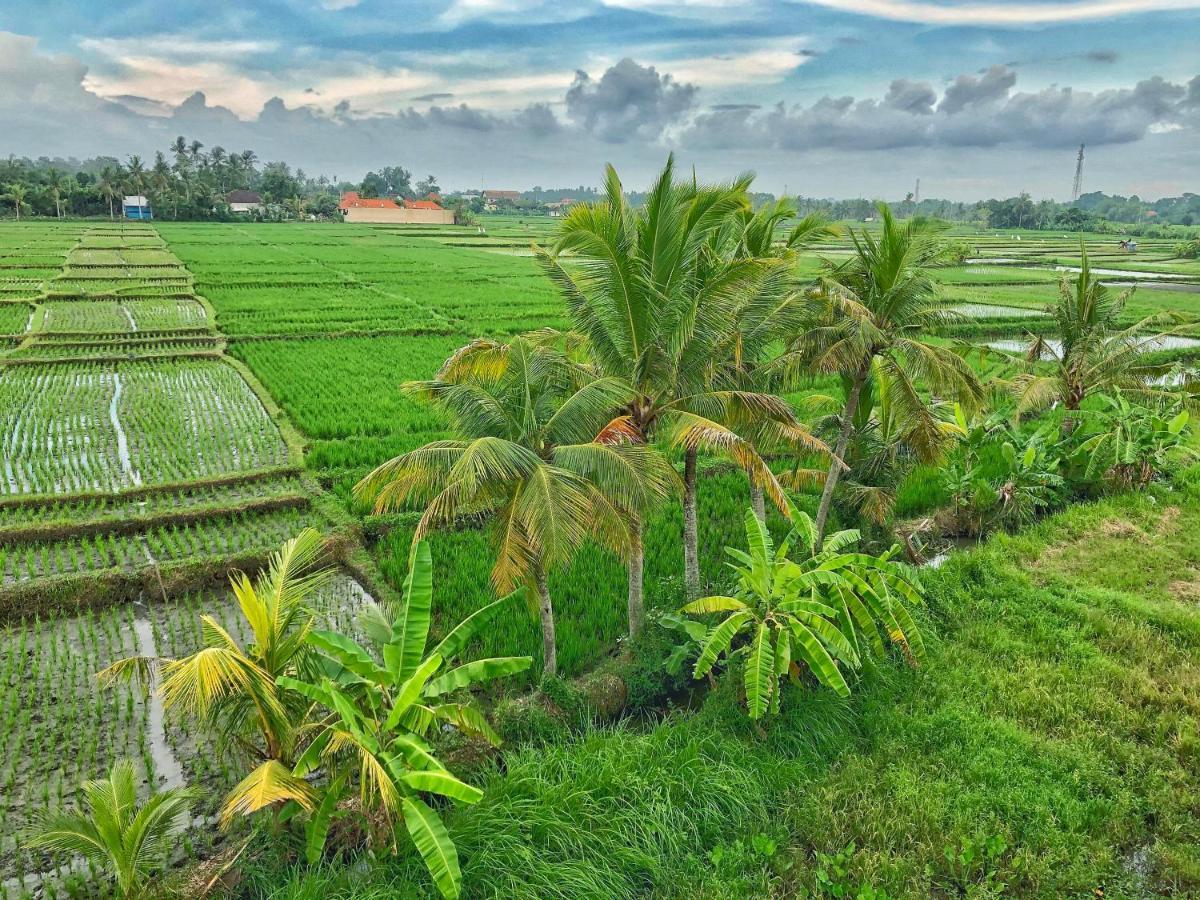 Swell Hotel, Pool Bar & Restaurant Tanah Lot Exterior foto